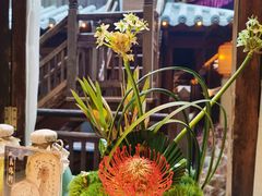 -叶叶菩提(太原别墅店)