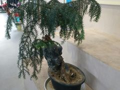 -南通洲际绿博园