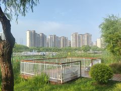 -新江湾城公园