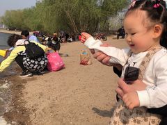 -长白岛森林公园