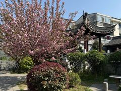 -梦溪园(中营街)