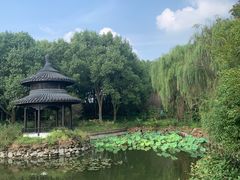 -天目湖山水园