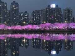 -西北湖绿化广场
