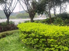 -顺峰山公园