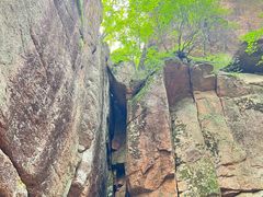 -五女峰国家森林公园