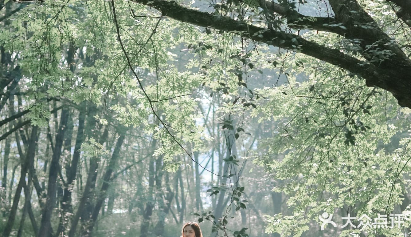 黄山·西溪南古村落 | 闯入童话中的绿野仙踪