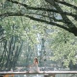 黄山·西溪南古村落 | 闯入童话中的绿野仙踪