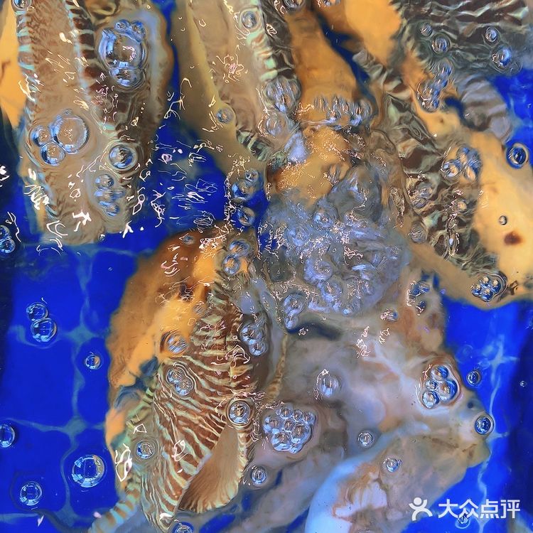 全海景海鲜餐厅