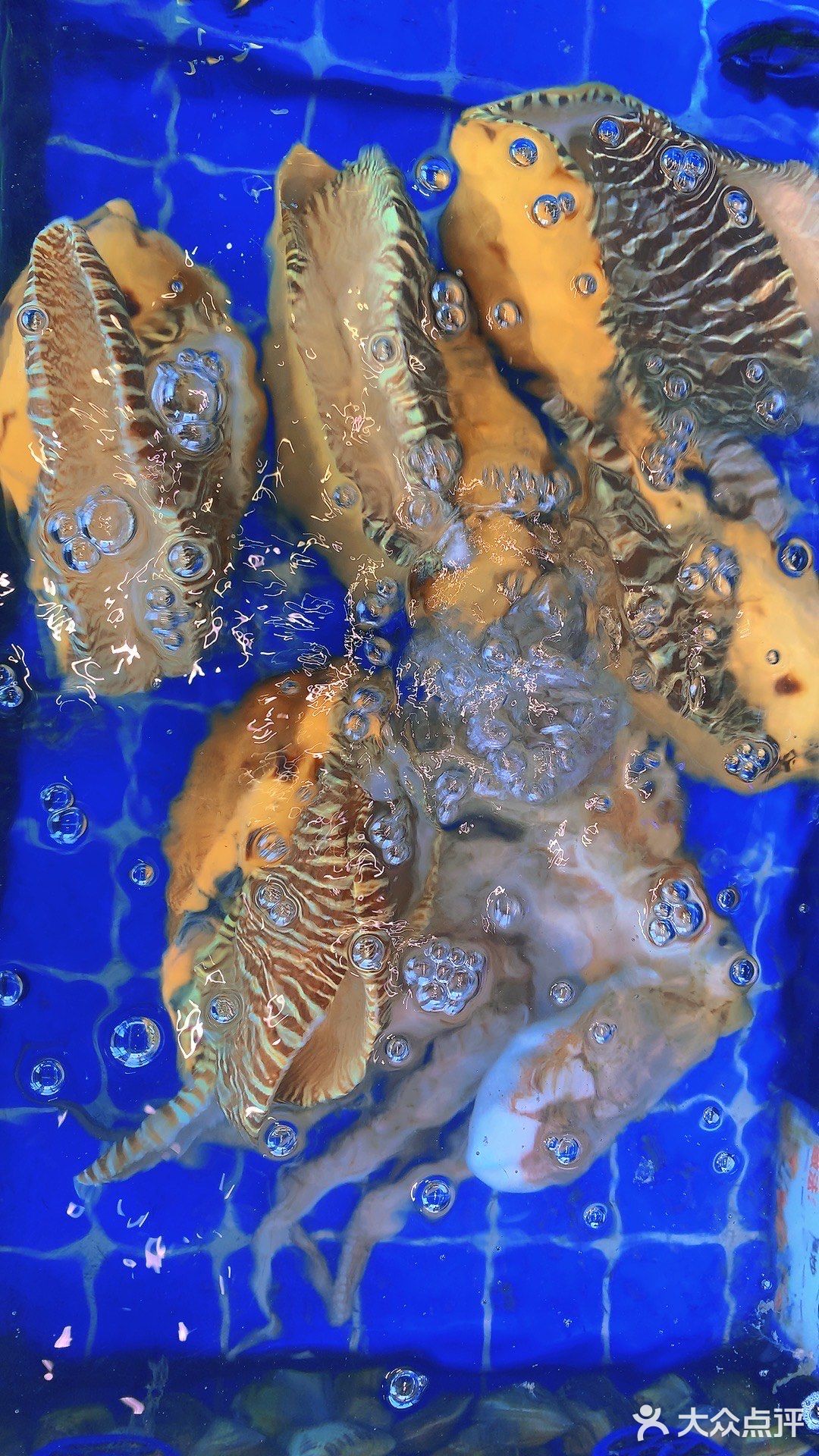 全海景海鲜餐厅