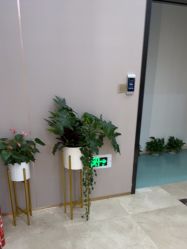 -杭州米兰柏羽医疗美容医院