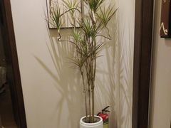 -谧境·爱SPA(春熙路店)