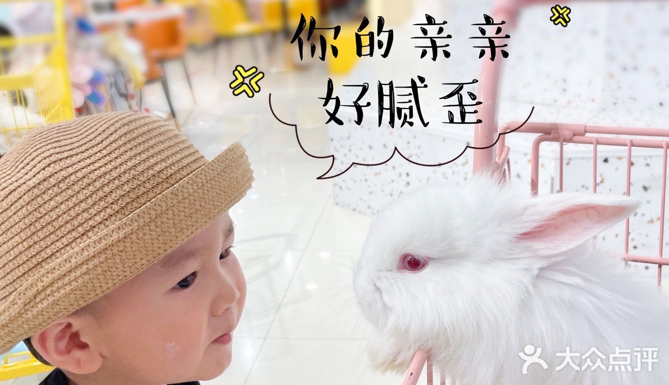 郑州探店｜打卡爱玩萌兔体验馆