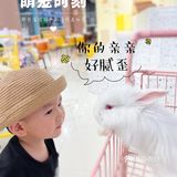 郑州探店｜打卡爱玩萌兔体验馆