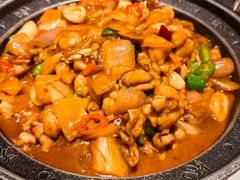 -阿露佳·舌尖上的安吉菜