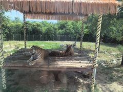 -西安秦岭野生动物园