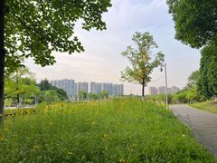 -白塘生态植物园