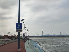 -长江澳风力发电景观区