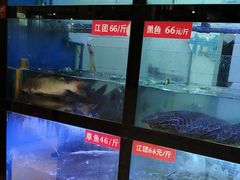 -万和源炝锅城·活鱼现炝(文艺北路店)