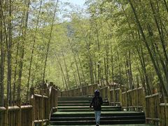 -陶祖圣境风景区