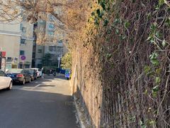 -丁丁猫重庆小面(徐州路店)