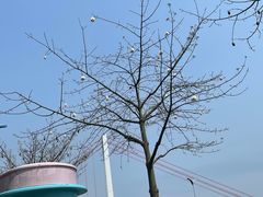 -万科·金域蓝湾