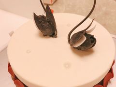 -BLACKSWAN黑天鹅(环球店)