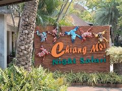 -清迈夜间动物园