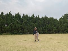 -南沙蒲洲花园