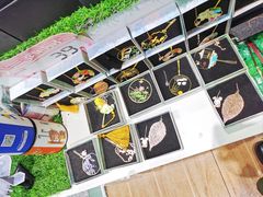 -贵阳龙洞堡国际机场-T2航站楼