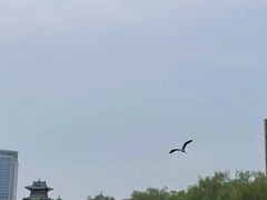 -迎泽公园