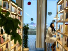-猫的天空之城概念书店(北戴河蔚蓝海岸店)