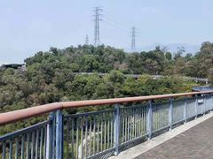 -金鸡山公园