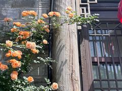 -老门东历史文化街区