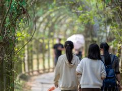 -南沙蒲洲花园