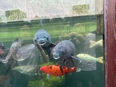 -宁波杭州湾国家湿地公园
