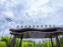 -黄海国家森林公园