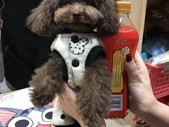 -爱宠屋pet shop·宠物洗澡·宠物美容