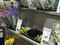 -鹿岛生活(熙地港店)