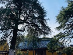 -灵岩山风景区