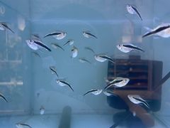 -大润发(姑嫂树店)