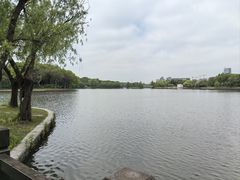 -嘉北郊野公园