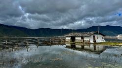 -纳帕海依拉草原