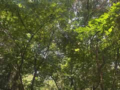 -四门塔风景区