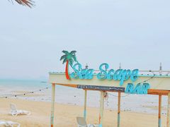 -巨鹏飞梦幻海岸