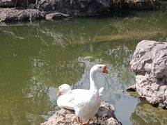 -祝家花園(伯渎港店)