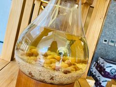 -青梅酒肆PLUS(长白仙岛北路店)