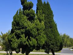 -盐城丹顶鹤湿地生态旅游区