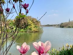 -海珠湖公园