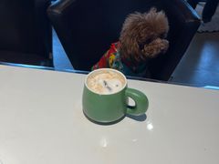 -百好乐宠物友好餐厅(朝外大街店)