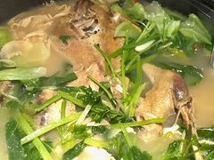 -陈江波老鸭煲(化工路店1号店)